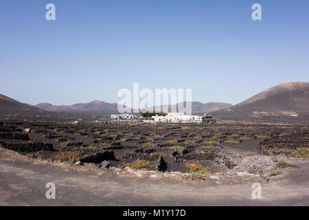 La Geria, Lanzarote - 8 novembre 2017. Una tradizionale casa di campagna circondata da loro vigna con spesse mura per proteggere le loro uve dal vento. Foto Stock