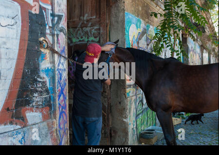 Roma. L'Italia. Maneggio cavalli in Campo Boario. Foto Stock