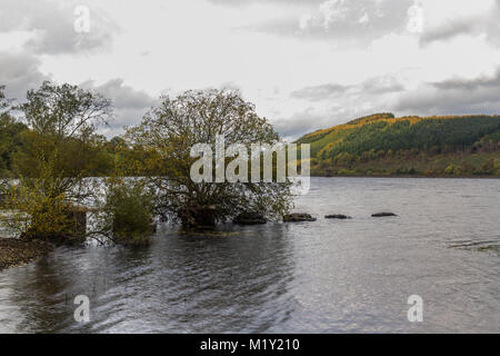 Anti-serbatoio cubetti da II Guerra Mondiale per impedire che la linea di invasione in acqua. Serbatoio di Elisabetta, Wales, Regno Unito. Foto Stock