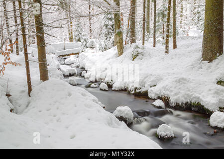 Lunga esposizione della Kleine Ohe, un piccolo ruscello che scorre attraverso i boschi innevati nel Parco Nazionale della Foresta Bavarese in Baviera, Germania. Foto Stock