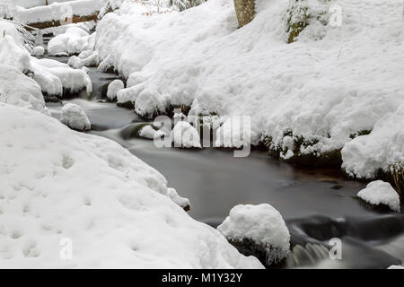 Lunga esposizione della Kleine Ohe, un piccolo ruscello che scorre attraverso i boschi innevati nel Parco Nazionale della Foresta Bavarese in Baviera, Germania. Foto Stock