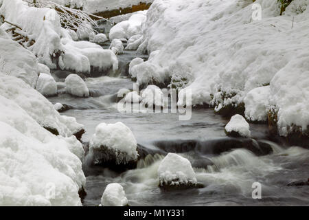 Lunga esposizione della Kleine Ohe, un piccolo ruscello che scorre attraverso i boschi innevati nel Parco Nazionale della Foresta Bavarese in Baviera, Germania. Foto Stock