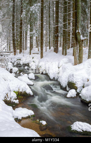 Lunga esposizione della Kleine Ohe, un piccolo ruscello che scorre attraverso i boschi innevati nel Parco Nazionale della Foresta Bavarese in Baviera, Germania. Foto Stock