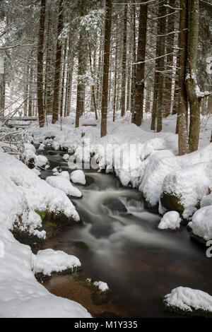 Lunga esposizione della Kleine Ohe, un piccolo ruscello che scorre attraverso i boschi innevati nel Parco Nazionale della Foresta Bavarese in Baviera, Germania. Foto Stock