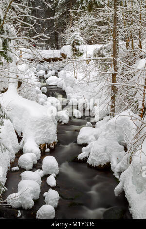 Lunga esposizione della Kleine Ohe, un piccolo ruscello che scorre attraverso i boschi innevati nel Parco Nazionale della Foresta Bavarese in Baviera, Germania. Foto Stock