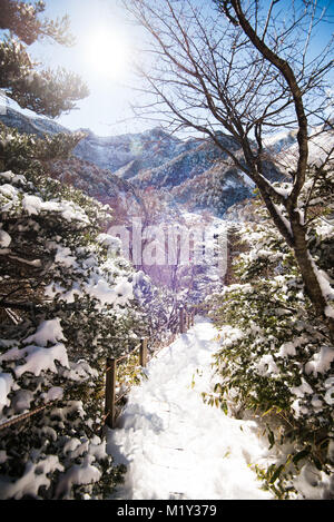 Escursionismo Monte Hallasan, il picco più alto in Corea dopo una tempesta di neve la notte prima. Foto Stock