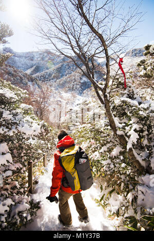 Escursionismo Monte Hallasan, il picco più alto in Corea dopo una tempesta di neve la notte prima. Foto Stock