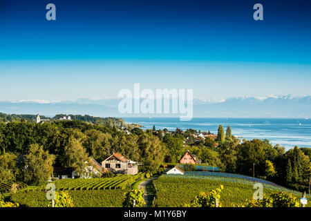 Vista del lago di Costanza e di vigneti nel retro delle alpi svizzere, Hagnau, Baden-Württemberg, Germania Foto Stock