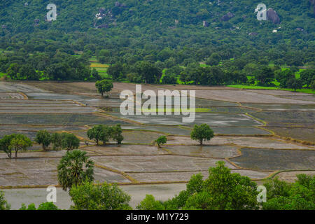 Svuotare il campo di riso in Dong Thap, Delta del Mekong, Vietnam. Foto Stock