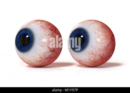 Due realistico gli occhi umani con iris blu, isolato su sfondo bianco Foto Stock