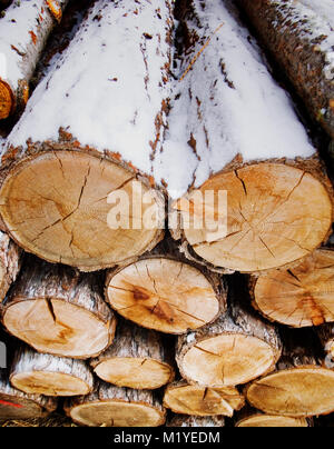 Pila di tronchi di legno per combustibile, coperto di neve. Foto Stock