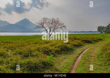 Lago Kandalama, provincia centrale, Sri Lanka, Asia Foto Stock