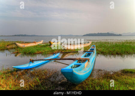 Lago Kandalama, provincia centrale, Sri Lanka, Asia Foto Stock