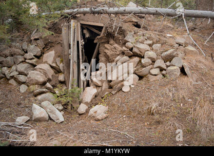 Una radice cantina dietro i resti di un minatore della cabina in corrispondenza il granato città fantasma, sul Bear Gulch, a nord-ovest di Drummond, Montana nella contea di granito. Il mi Foto Stock