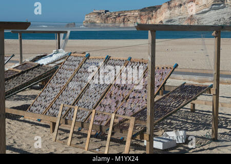 Rack di pesce di essiccazione al sole sulla spiaggia a Nazare, Portogallo. Foto Stock