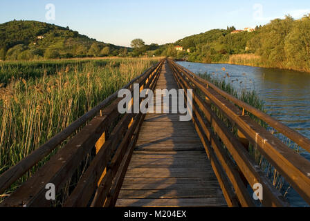 Sentiero in legno nell'oasi la Valle, Lago Trasimeno, Magione, Umbria, Italia Foto Stock