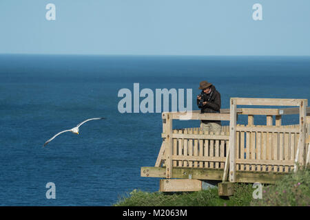 Uomo sulla piattaforma di visualizzazione di scattare foto con la fotocamera come gabbiano vola passato oltre il blu del Mare del Nord - Bempton Cliffs RSPB riserva, East Yorkshire, Inghilterra, Regno Unito. Foto Stock