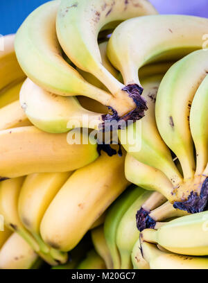Pila di banana frutto, macro closeup. Organici di grappoli di banane fresche display presso i produttori del mercato. Foto Stock