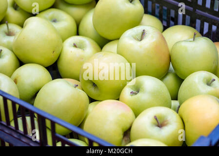 Organic fresh apple nelle caselle visualizzate al mercato, closeup, vista dall'alto. Una sana mela golden delicious in stallo del mercato, Sydney, Australia. Foto Stock