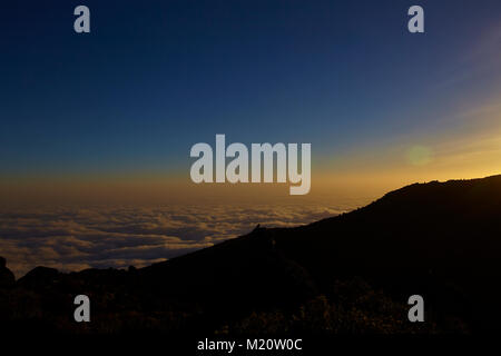 Una lunga passeggiata fino a Kilimanjaro sul percorso di Whiskey Foto Stock