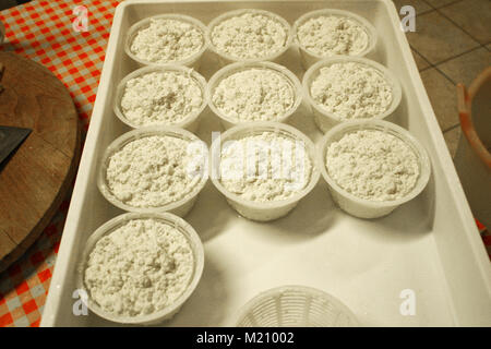 Fare il formaggio di fattoria nel Nord Italia Foto Stock