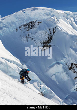 Sci alpino Sci alpinisti in discesa in Antartide Foto Stock