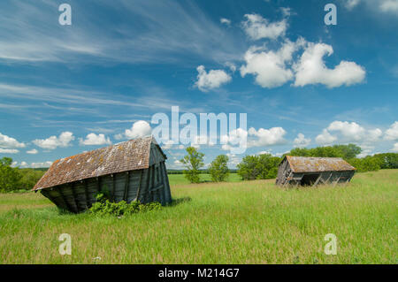 Assiniboine River Valley, Manitoba, Canada. Due vecchie, abbandonato, crolli di edifici agricoli nella prateria vicino Lago di quercia. Foto Stock