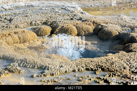 La formazione di bolle in acqua geyser piscina nel parco nazionale di Yellowstone, Wyoming negli Stati Uniti. Foto Stock