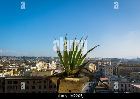 Vista del blu cielo romano e città attraverso una finestra con un impianto in primo piano Foto Stock