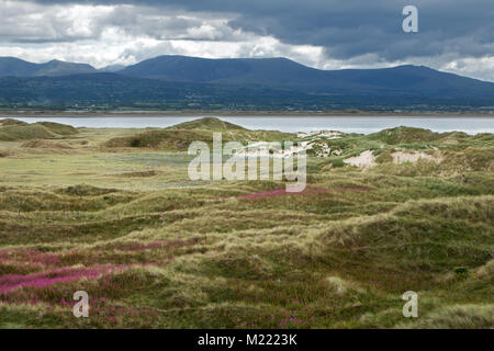 Newborough Warren è un esteso sistema di dune su Anglesey (Galles del Nord). Si tratta di uno dei più importanti sistemi dunosi in Europa per la conservazione delle dune. Foto Stock