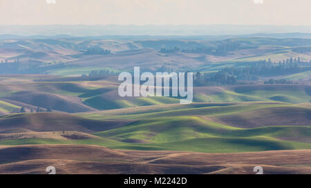 Dolci colline da Steptoe Butte di Haze, Washington Foto Stock