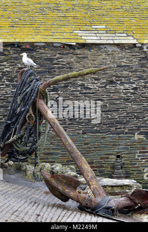 Un grande vecchio arrugginito e corroso navi ancora in una sorta di scivolo a Port Isaac in North Cornwall sulla costa con un gabbiano o Gabbiano seduta su una bobina di corda Foto Stock