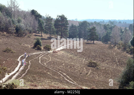 Famiglia passeggiate su acri giù, New Forest, Hampshire.. Foto Stock