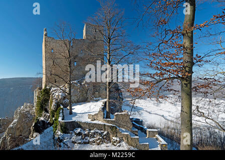 Reußenstein rovina nel Giura Svevo, Foto Stock