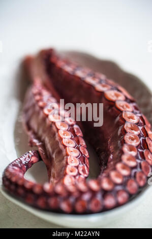 Polipo cotti su una piastra bianca octapus tentacoli di messa a fuoco selettiva di messa a fuoco selettiva Foto Stock