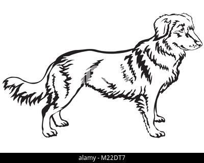 Ritratto decorativo di standing in profilo Nova Scotia Duck Tolling Retriever, vettore isolato illustrazione in colore nero su sfondo bianco Illustrazione Vettoriale