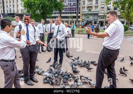 Buenos Aires Argentina,Plaza de Mayo piazza centrale,parco,Mormon,uomo uomini maschio,giovane adulto,missionario,abbigliamento conservatore,alimentazione,piccioni in mano,Hispan Foto Stock