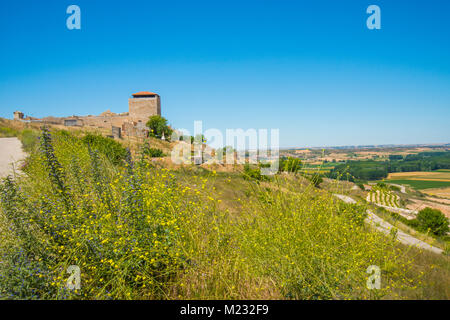 Il castello e il paesaggio. Haza, provincia di Burgos, Castilla Leon, Spagna. Foto Stock