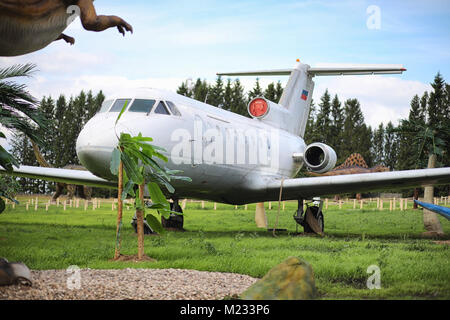 Piano nella giungla. L'aereo è atterrato nella fitta vegetazione di Foto Stock