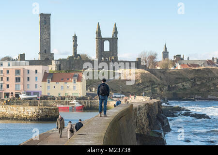 St Andrews come visto dal molo, St Andrews Fife, Scozia, Regno Unito Foto Stock
