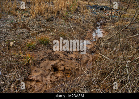 Stati Uniti: 2018: fossa di scarico nello storico Selma tenute che è riempito con il limo e fango run off dalle acque meteoriche. Alcuni residenti di dire la develo Foto Stock