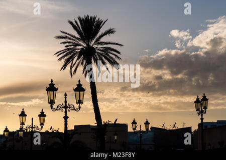 Silhouette di palme e candelabri street lights durante il tramonto Foto Stock