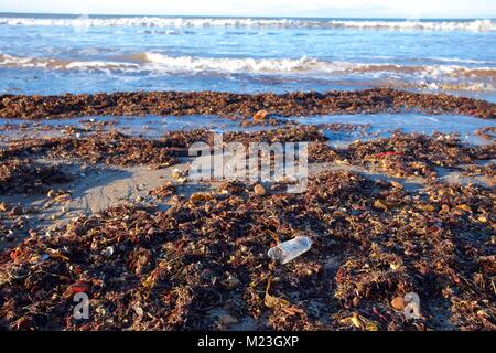 Le bottiglie di plastica lavati fino in spiaggia Foto Stock