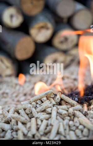 Fonti di energia rinnovabili - abete agglomerati in forma di pellets in fiamme Foto Stock