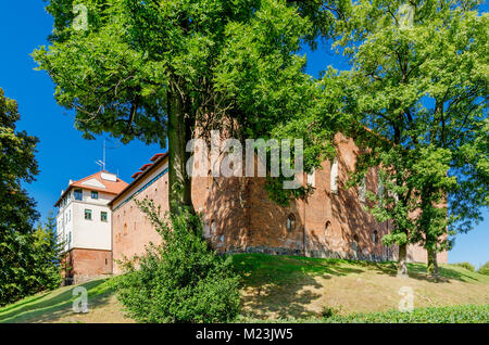 Castello dell'Ordine Teutonico, Dzialdowo (ger.: Soldau), Warmian-Masurian voivodato, Polonia, l'Europa. Foto Stock