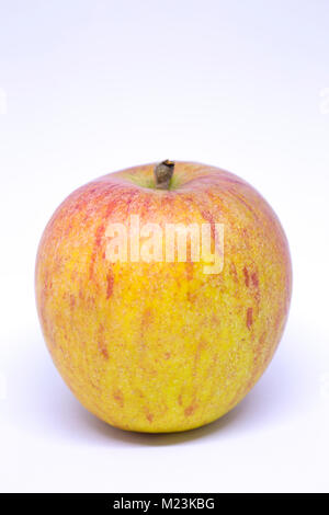 Malus domestica " Cox's Orange Pippin' Foto Stock