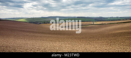 Campi arati e pascoli coprono il paesaggio di rotolamento del Dorset Downs colline, con Hardy's Monument in distanza. Foto Stock