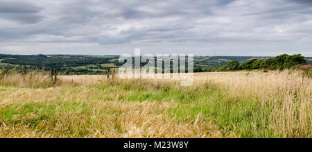 Un mosaico di campi agricoli, pascoli e boschi possono essere viste sulle colline del Dorset Downs come visto dalla collina Eggardon, con la t Foto Stock