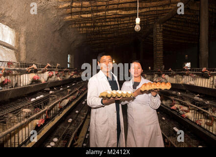 (180204) -- PECHINO, Febbraio 4, 2018 (Xinhua) -- abitante Wei Chunbian e sua moglie Huo Guilan posa per foto a loro hencoop Gaimai nel villaggio di Yining County, a nord-ovest della Cina di Xinjiang Uygur Regione autonoma, nov. 22, 2017. Con il suo aiuto, una decina di famiglie a basso reddito hanno beneficiato in quanto ha iniziato la hennery nel 2014. Li Yuanmin, un delegato al XIX Congresso nazionale del Partito Comunista della Cina (CPC), servita come villaggio segretario del partito. Ella ha messo un grande sforzo nella propagazione del partito percorso, orientamento e la politica per la gente nel remoto villaggio, dopo il ritorno dalla parte c Foto Stock