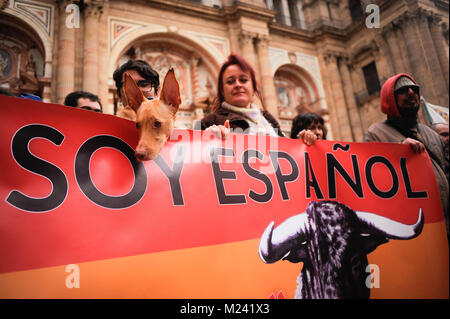 Malaga, Spagna. 4 febbraio, 2018. Un cane è visto dietro un banner che recita: " Io sono spagnolo'', durante una manifestazione contro la caccia con i cani e altre razze nel centro di Malaga. Credito: Gesù Merida/SOPA/ZUMA filo/Alamy Live News Foto Stock